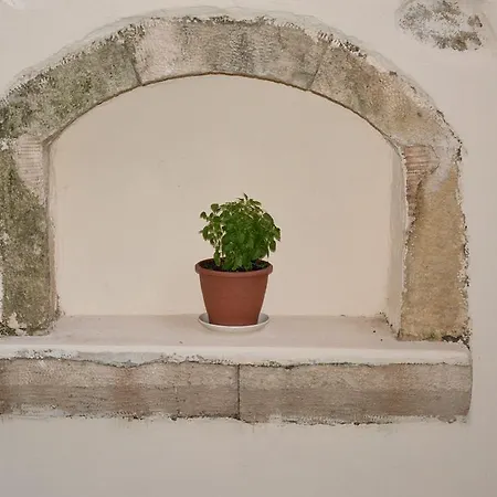 Loggia Traditional